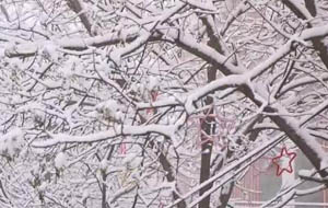 汾西迎來立春后首場降雪